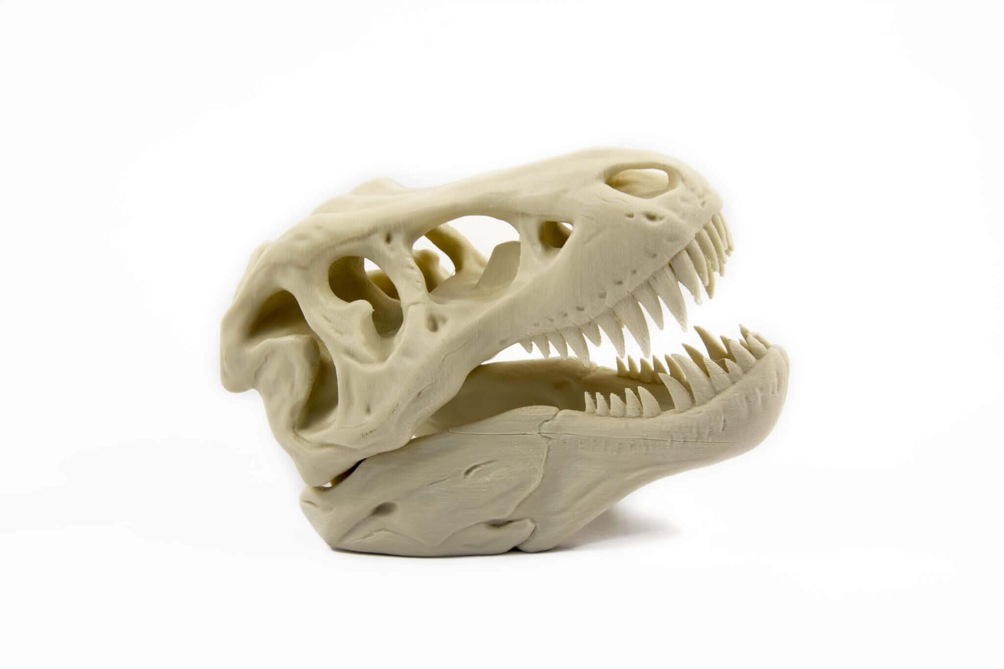 3D printed dinosaur head
